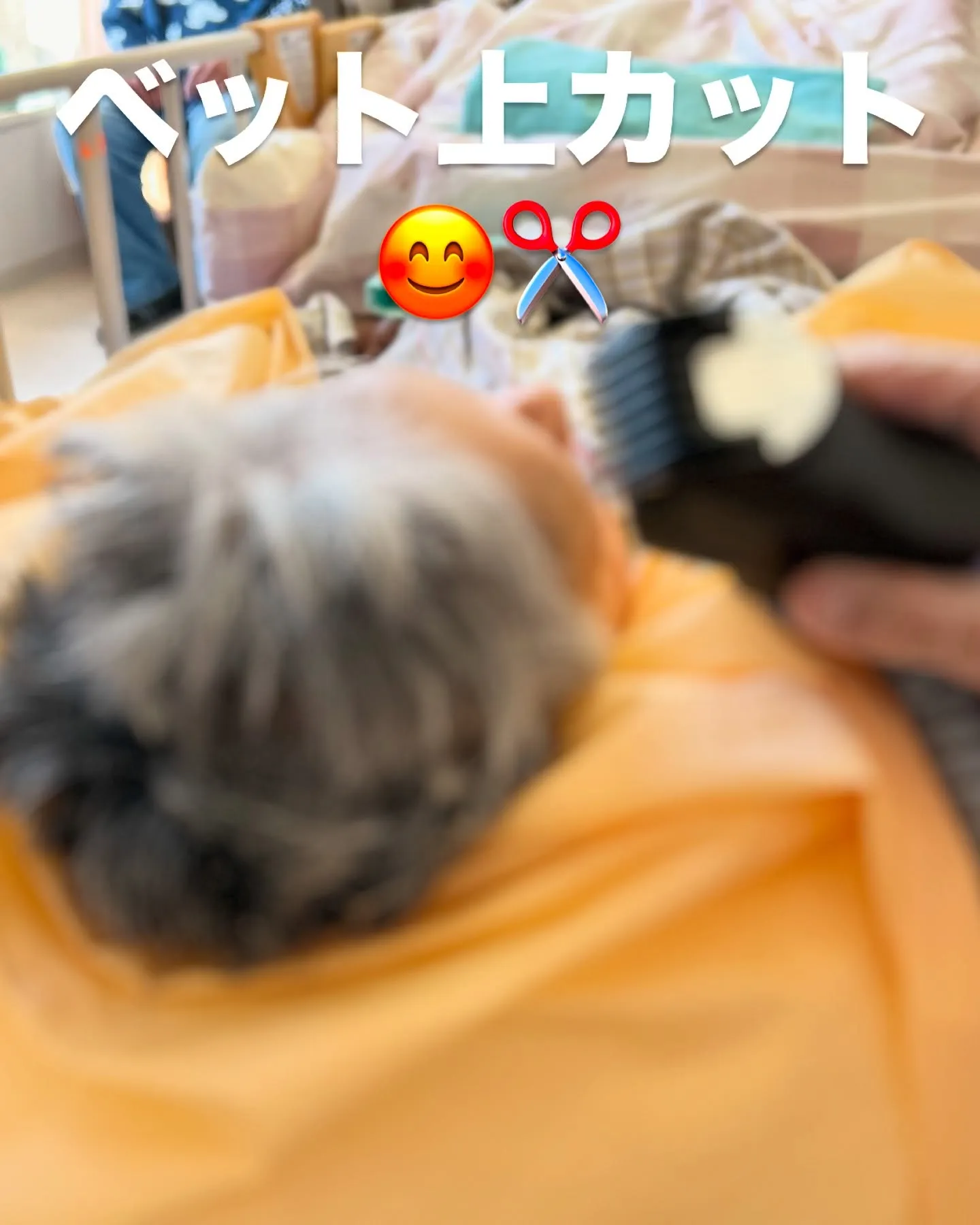 【明けましておめでとうございます】