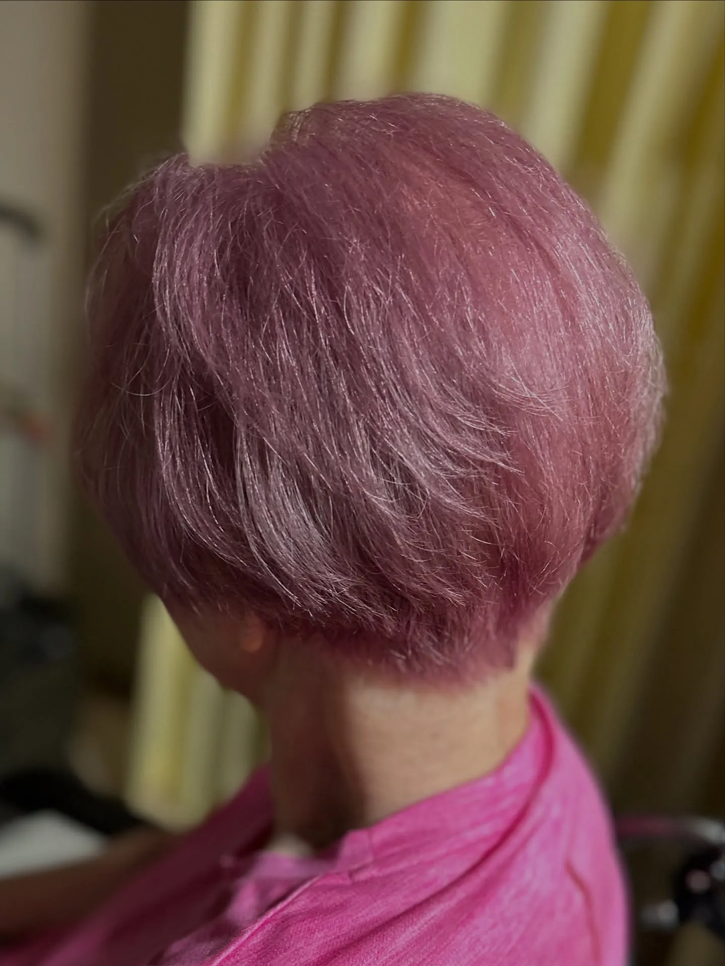 【10月の細川の予定】